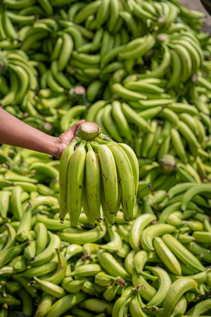 Baby Bananas (Box of 12)