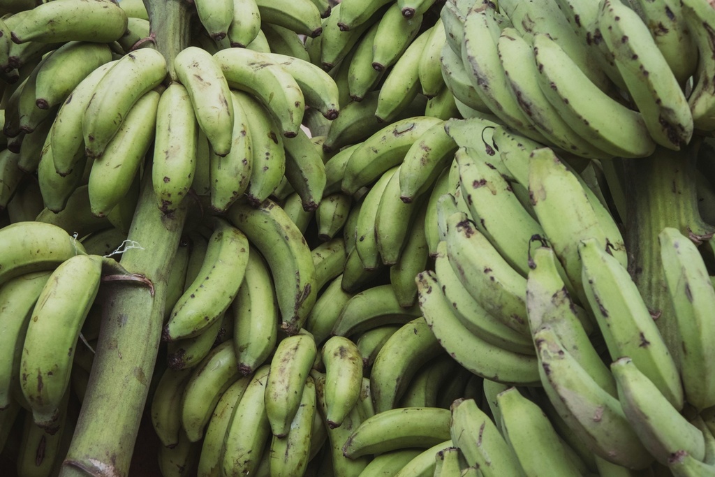 Plantain Bananas (1 kg)