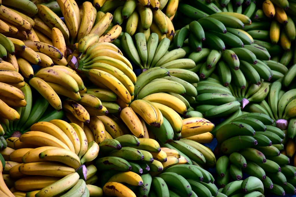 Organic Bananas (Bunch)